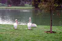 Lond�n. Velk� Brit�nie.