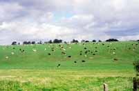 Jihov�chodn� Anglie. Velk� Brit�nie.