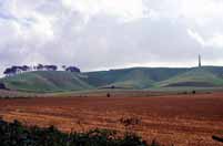 B�l� k��. Velk� Brit�nie.