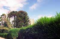 Oxford. Velk� Brit�nie.