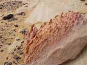 �ern� pou�� Sahara. Egypt.