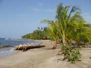 Pl� v Manzanillo. Kostarika.