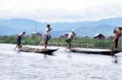 Tradi�n� p�dlov�n� nohou na jezeru Inle. Myanmar (Barma).