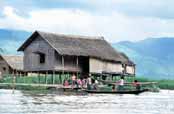 �ivot na jeze�e Inle. Myanmar (Barma).