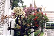Bangkok. Kr�lovsk� pal�c. Thajsko.