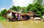�ivot na vod� v Mekong delt�.  Vietnam.