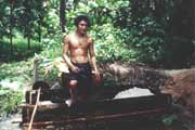 Zpracov�n� s�ga. Ostrov Siberut. Indon�sie.