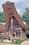 Tradi�n� d�m tongkonan, oblast Tana Toraja. Sulawesi,  Indon�sie.