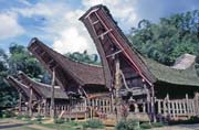 Tradi�n� domy tongkonan, oblast Tana Toraja. Sulawesi,  Indon�sie.