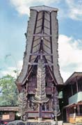 Tradi�n� d�m tongkonan, oblast Tana Toraja. Sulawesi,  Indon�sie.