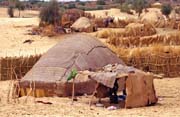 Obydl� Tuareg� na kraji m�sta Timbuktu (Tombouctou). Mali.