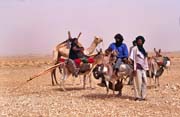 Tuaregov� na cest� za nov�m obydl�m. Pou�� Sahara. Mali.