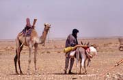 Tuaregov� na cest� za nov�m obydl�m. Pou�� Sahara. Mali.