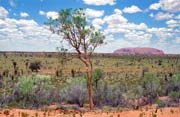 Ayers Rock (Uluru). Jedne z nejv�t��ch monolit� na sv�t�. Austr�lie.