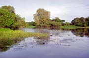 �eka Yellow Water. N�rodn� park Kakadu. Austr�lie.