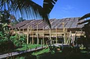 Longhouse. Kulturn� vesnice u Kuchingu. Sarawak,  Malajsie.