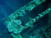 Vrak holandsk� obchodn� lodi potopen� v roce 1942. Pot�p�n� u ostrova Bunaken, lokalita Molas Wreck. Sulawesi,  Indon�sie.