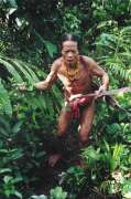 Mentawajec z ostrova Siberut. Sumatra,  Indon�sie.