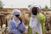 M�stn� mu�i na trhu s dobytkem ve m�st� Agadez. Niger.