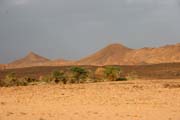 Pou�� Sahara. Niger.