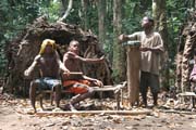 Tradi�n� tance v Pygmejsk� vesnici na �ece Lobe. Kamerun.