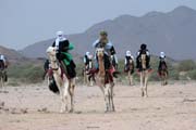 Tradi�n� velbloud� z�vody na tuare�sk� svatb�. Oblasti poho�� Air. Niger.