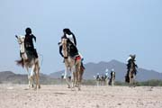 Tradi�n� velbloud� z�vody na tuare�sk� svatb�. Oblasti poho�� Air. Niger.