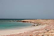 Severn� pob�e�� ostrova Socotra v oblasti rezervace Dihamri. Jemen.