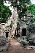 Ta Prohm - chr�m v d�ungli. Oblast Angkor Watu. Kambod�a.