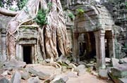 Chr�m Ta Prohm - chr�m zanechan� v d�ungli. Oblast chr�m� Angkor Wat. Kambod�a.