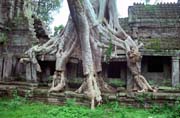Chr�m Preah Khan - jeden z m�la chr�mu zanechan�ch v d�ungli. Oblast chr�m� Angkor Wat. Kambod�a.