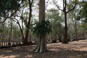 Archeologick� park Kamphaeng Phet. Thajsko.