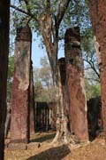 Archeologick� park Kamphaeng Phet. Thajsko.