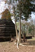 Archeologick� park Kamphaeng Phet. Thajsko.