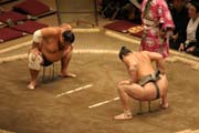Z�pas sumo b�hem turnaje sumo. Tokio. Japonsko.