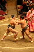 Z�pas sumo b�hem turnaje sumo. Tokio. Japonsko.