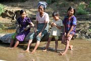 Kemp s pracovn�mi slony. Okol� m�sta Taungoo. Myanmar (Barma).