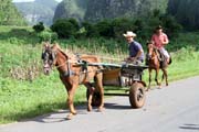 �dol� Vinales (Valle de Vinales). Kuba.
