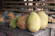 �akie �i chlebovn�k (anglicky jackfruit), trh ve vesnici Tomohon. Sulawesi,  Indon�sie.
