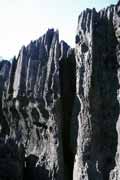 Velk� Tsingy, Tsingy de Bemaraha N�rodn� park. Madagaskar.