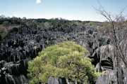 Velk� Tsingy, Tsingy de Bemaraha N�rodn� park. Madagaskar.