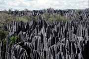Velk� Tsingy, Tsingy de Bemaraha N�rodn� park. Madagaskar.