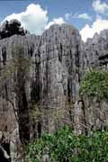 Velk� Tsingy, Tsingy de Bemaraha N�rodn� park. Madagaskar.